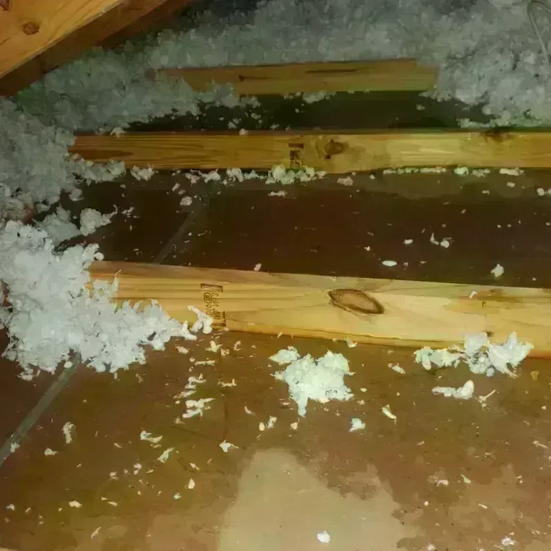 Attic Water Damage in Hawkins County, TN